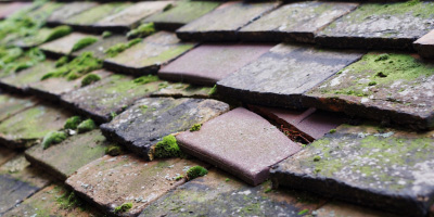 Bidston roof repair costs